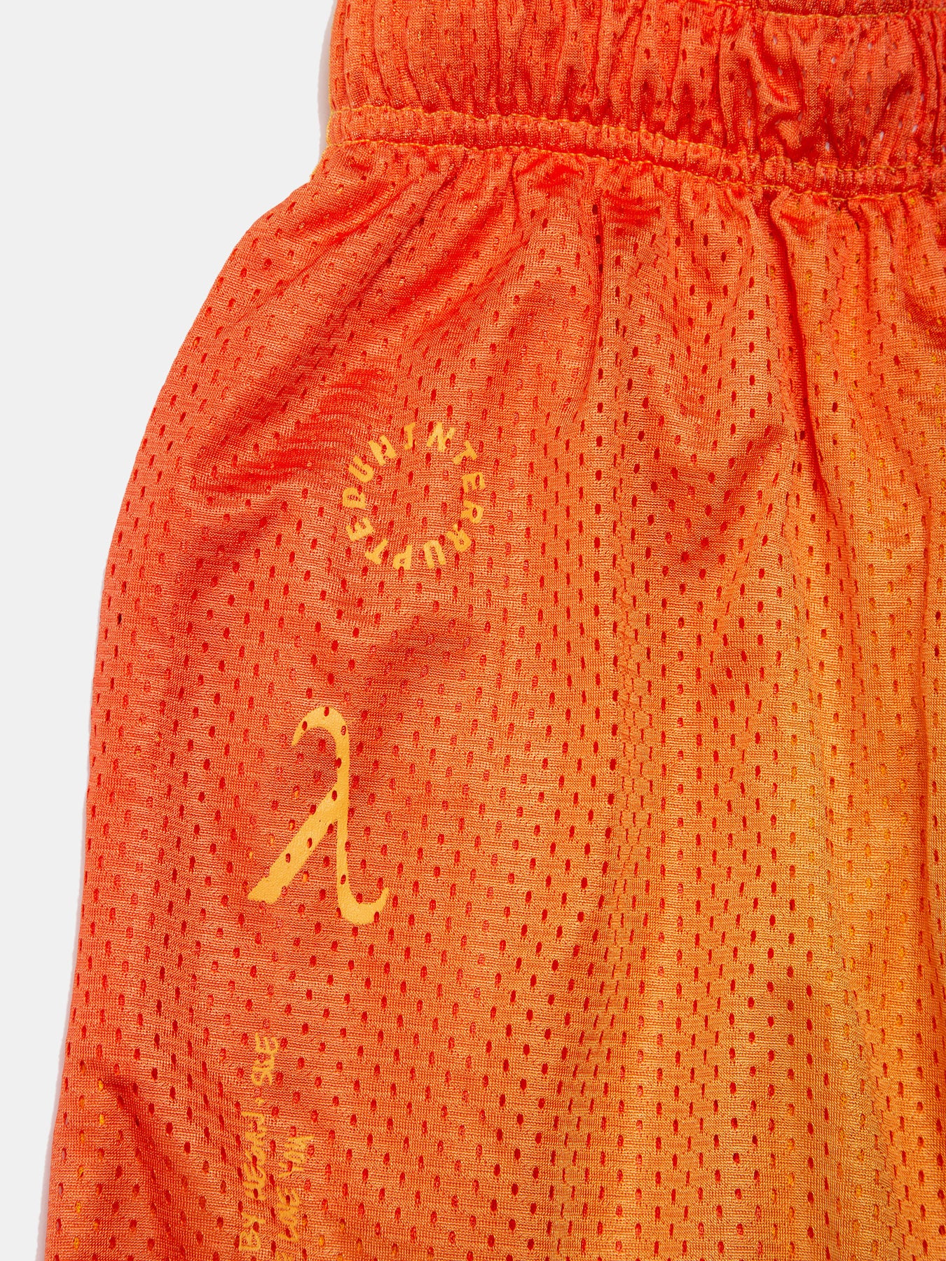 Revolutionary Joy Mesh Shorts