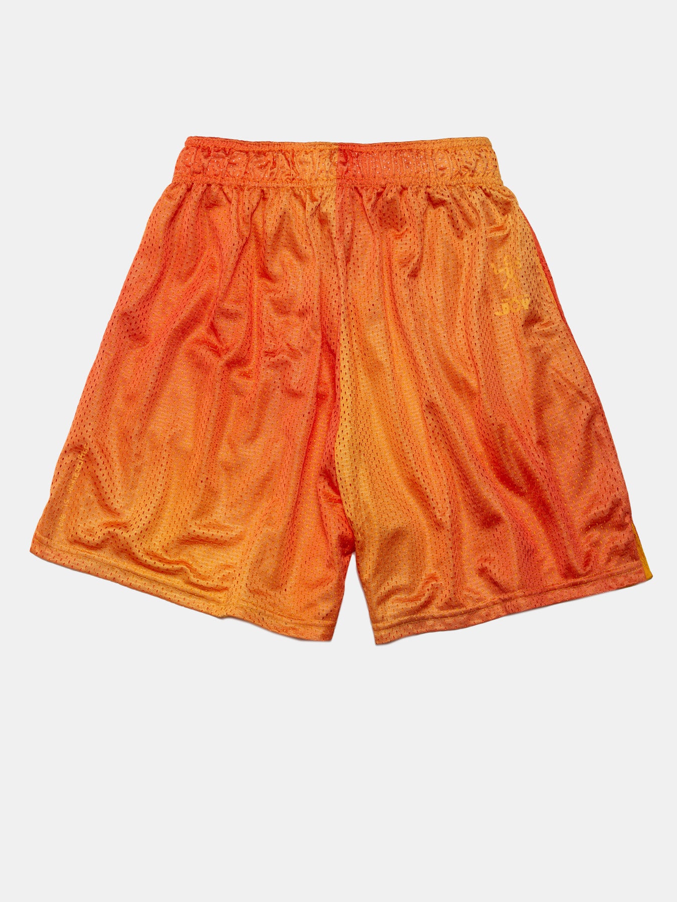 Revolutionary Joy Mesh Shorts